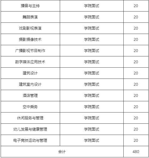 2021年南京视觉艺术职业学院提前招生专业及计划