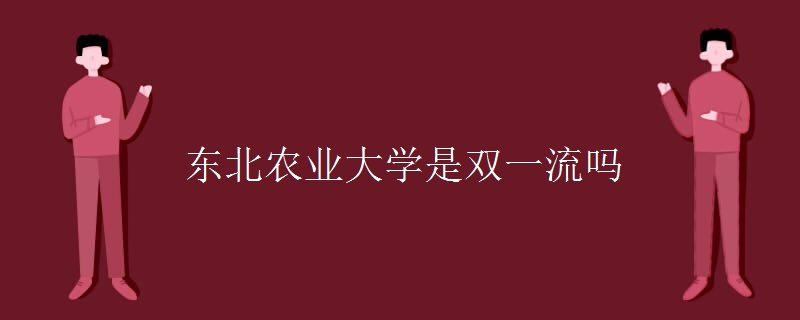 东北农业大学是双一流吗