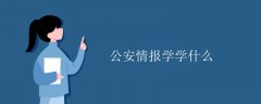 公安情报学学什么