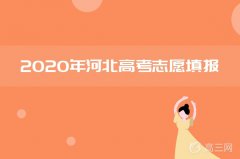 2020河北省本科提前批美术类征集志愿招生计划