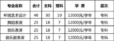 信阳学院2020年艺术类专业招生计划