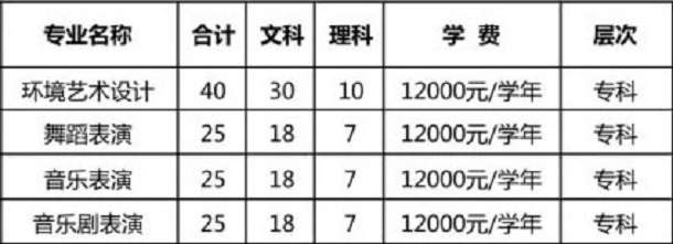 郑州西亚斯学院2020年河南艺术类招生计划